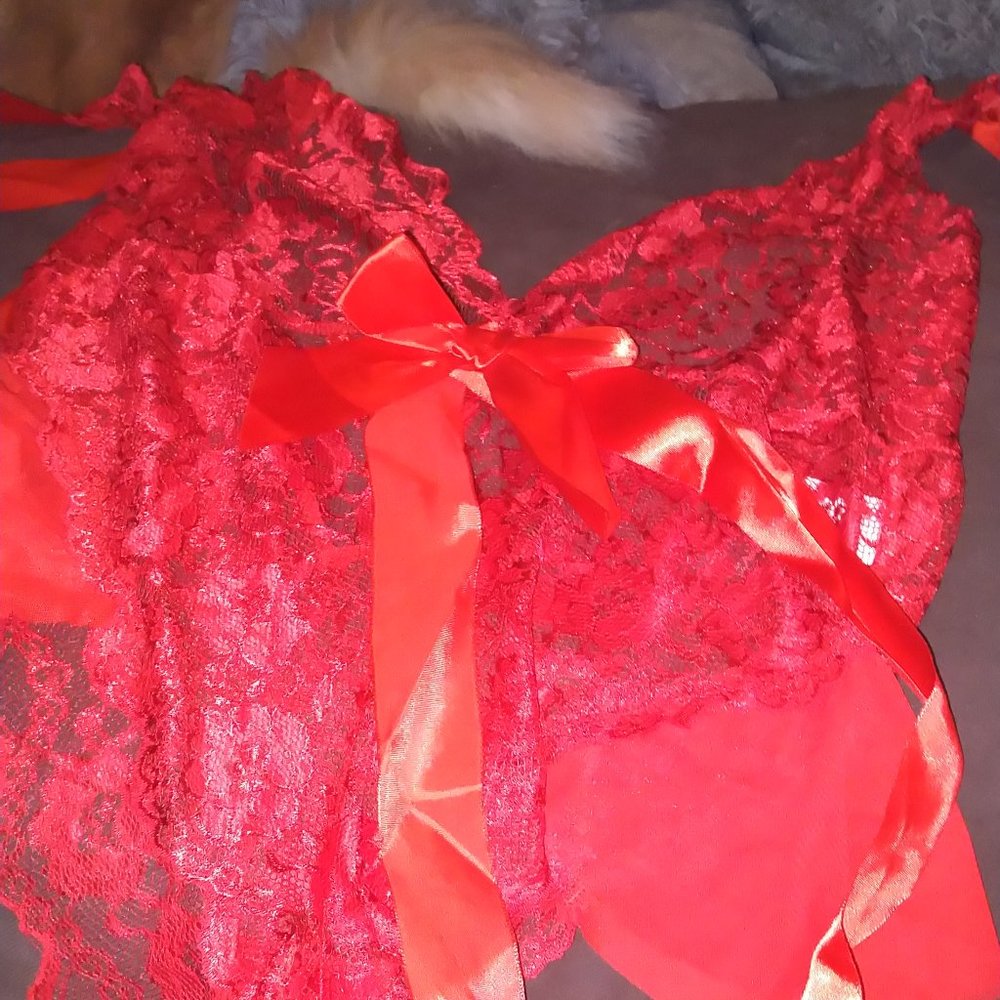 Red teddy